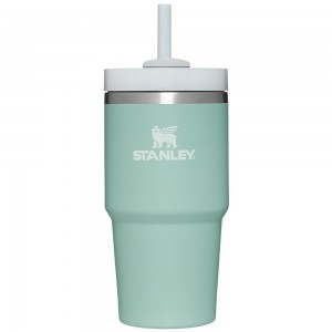 Turquoise Stanley Quencher H2.0 Travel Tumbler | 20 OZ Water Bottles | 43297-UDPY