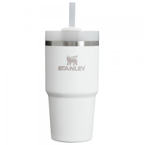 White Stanley Quencher H2.0 Travel Tumbler | 20 OZ Water Bottles | 79514-EIHZ