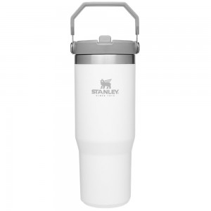 White Stanley The IceFlow Flip Straw Tumbler | 30 OZ | Insulated Water Water Bottles | 41897-VOZP