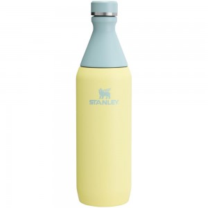 Yellow Stanley All Day Slim Bottle | 20 OZ Water Bottles | 15862-HBNL