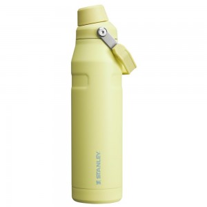 Yellow Stanley IceFlow Insulated Bottle with Fast Flow Lid | 36 OZ Water Bottles | 02813-GCUH