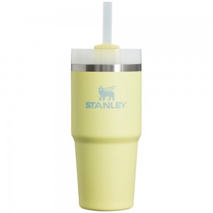 Yellow Stanley Quencher H2.0 Travel Tumbler | 14 OZ Water Bottles | 28504-XOHT