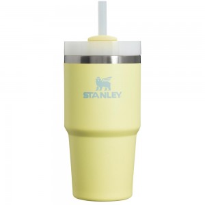 Yellow Stanley Quencher H2.0 Travel Tumbler | 20 OZ Water Bottles | 65793-FEWY