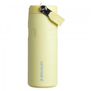 Yellow Stanley The IceFlow™ Bottle with Flip Straw Lid | 16 OZ Water Bottles | 94120-QMRS