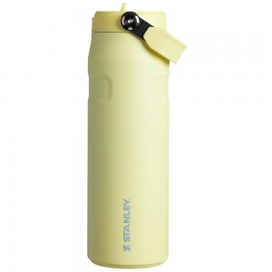 Yellow Stanley The IceFlow™ Bottle with Flip Straw Lid | 24 OZ Water Bottles | 61890-LQRN