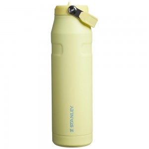 Yellow Stanley The IceFlow™ Bottle with Flip Straw Lid | 36 OZ Water Bottles | 69283-KPYN