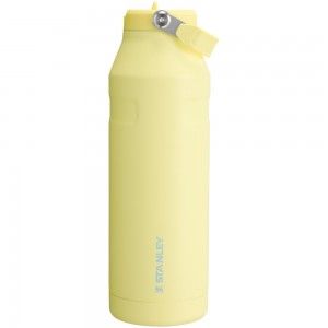 Yellow Stanley The IceFlow™ Bottle with Flip Straw Lid | 50 OZ Water Bottles | 13825-FTPD