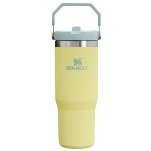 Yellow Stanley The IceFlow Flip Straw Tumbler | 30 OZ | Insulated Water Water Bottles | 95612-ORWX