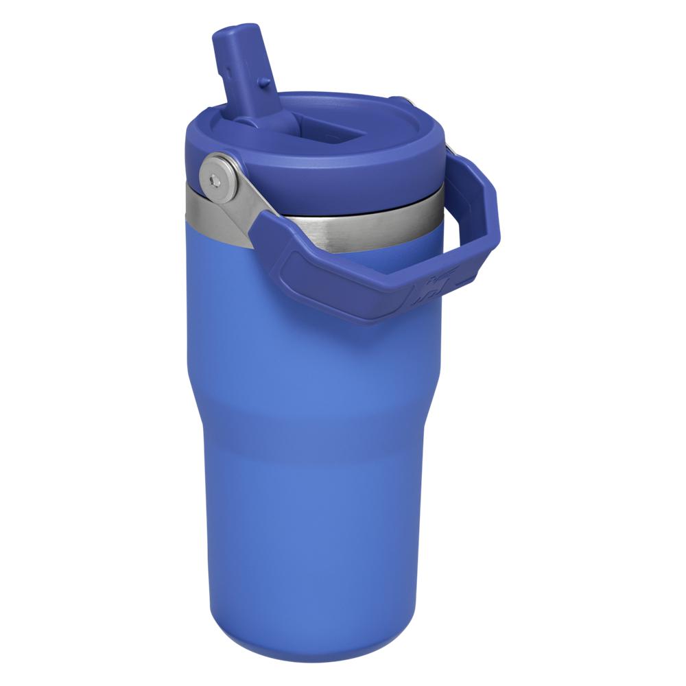 Blue Stanley The IceFlow Flip Straw Tumbler | 20 OZ | Insulated Water Tumbler | Sta Water Bottles | 06127-RPWK