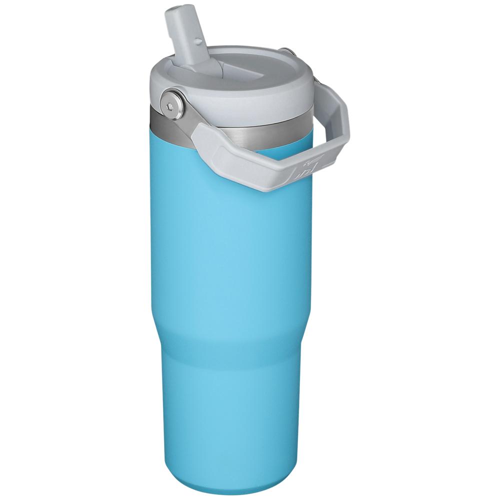 Blue Stanley The IceFlow Flip Straw Tumbler | 30 OZ | Insulated Water Water Bottles | 17806-RUDX