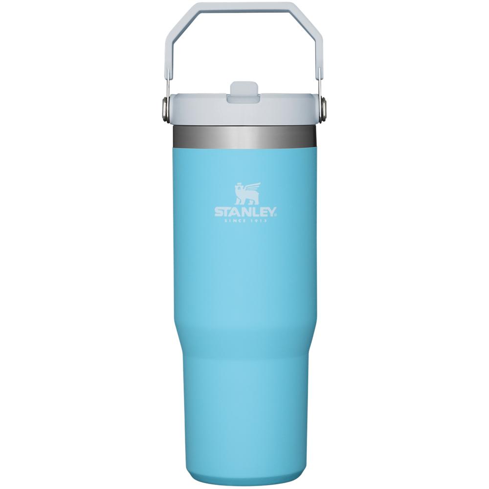 Blue Stanley The IceFlow Flip Straw Tumbler | 30 OZ | Insulated Water Water Bottles | 17806-RUDX