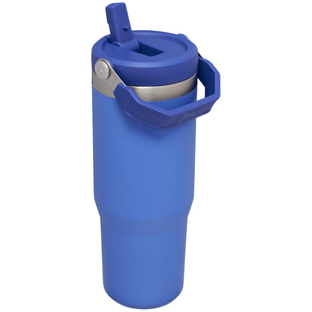 Blue Stanley The IceFlow Flip Straw Tumbler | 30 OZ | Insulated Water Water Bottles | 08573-RWCJ