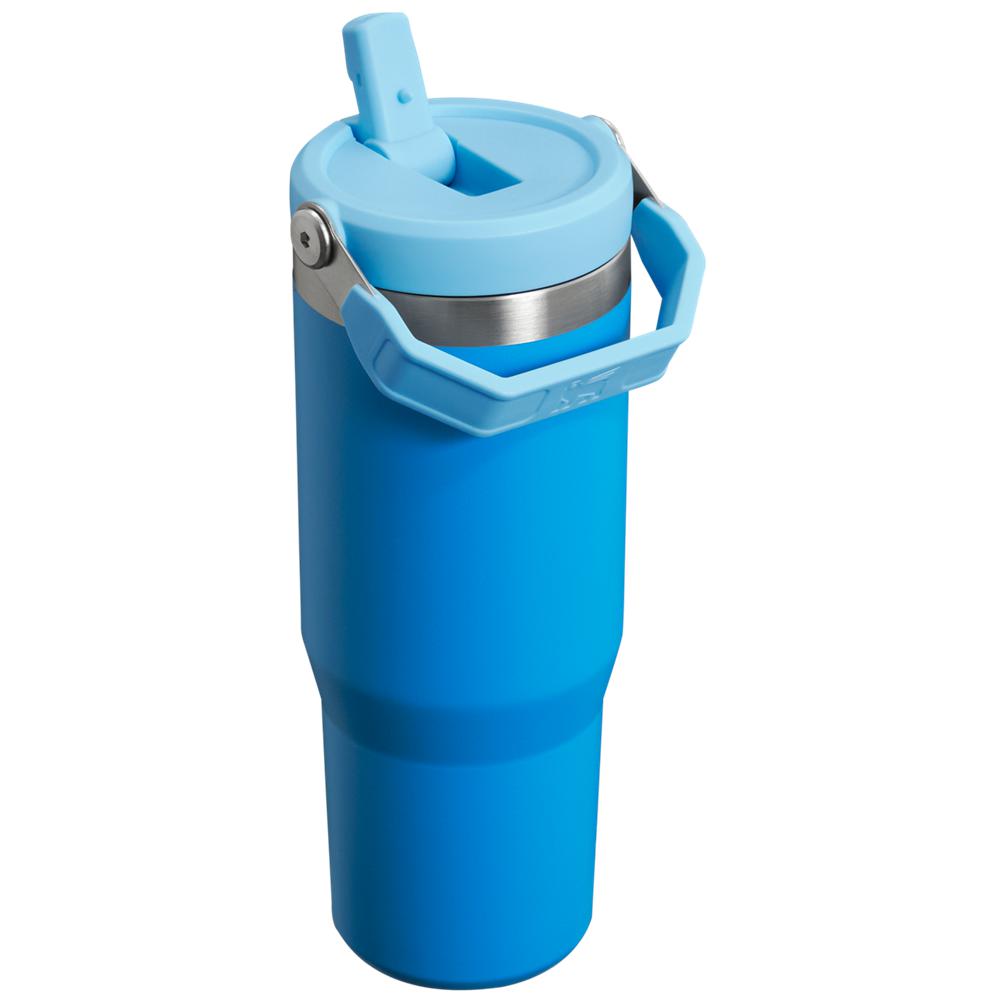 Blue Stanley The IceFlow Flip Straw Tumbler | 30 OZ | Insulated Water Water Bottles | 43809-TDHV