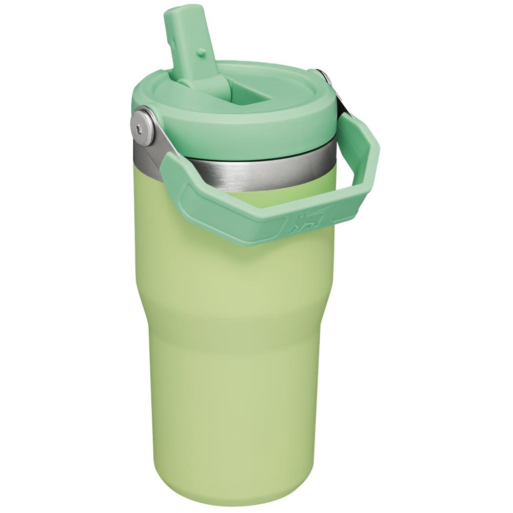 Green Stanley The IceFlow Flip Straw Tumbler | 20 OZ | Insulated Water Tumbler | Sta Water Bottles | 89537-SMFX