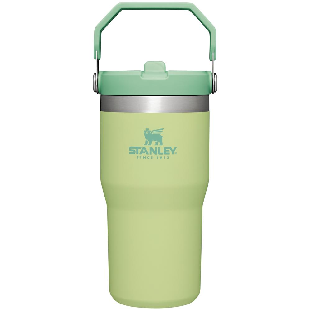 Green Stanley The IceFlow Flip Straw Tumbler | 20 OZ | Insulated Water Tumbler | Sta Water Bottles | 89537-SMFX