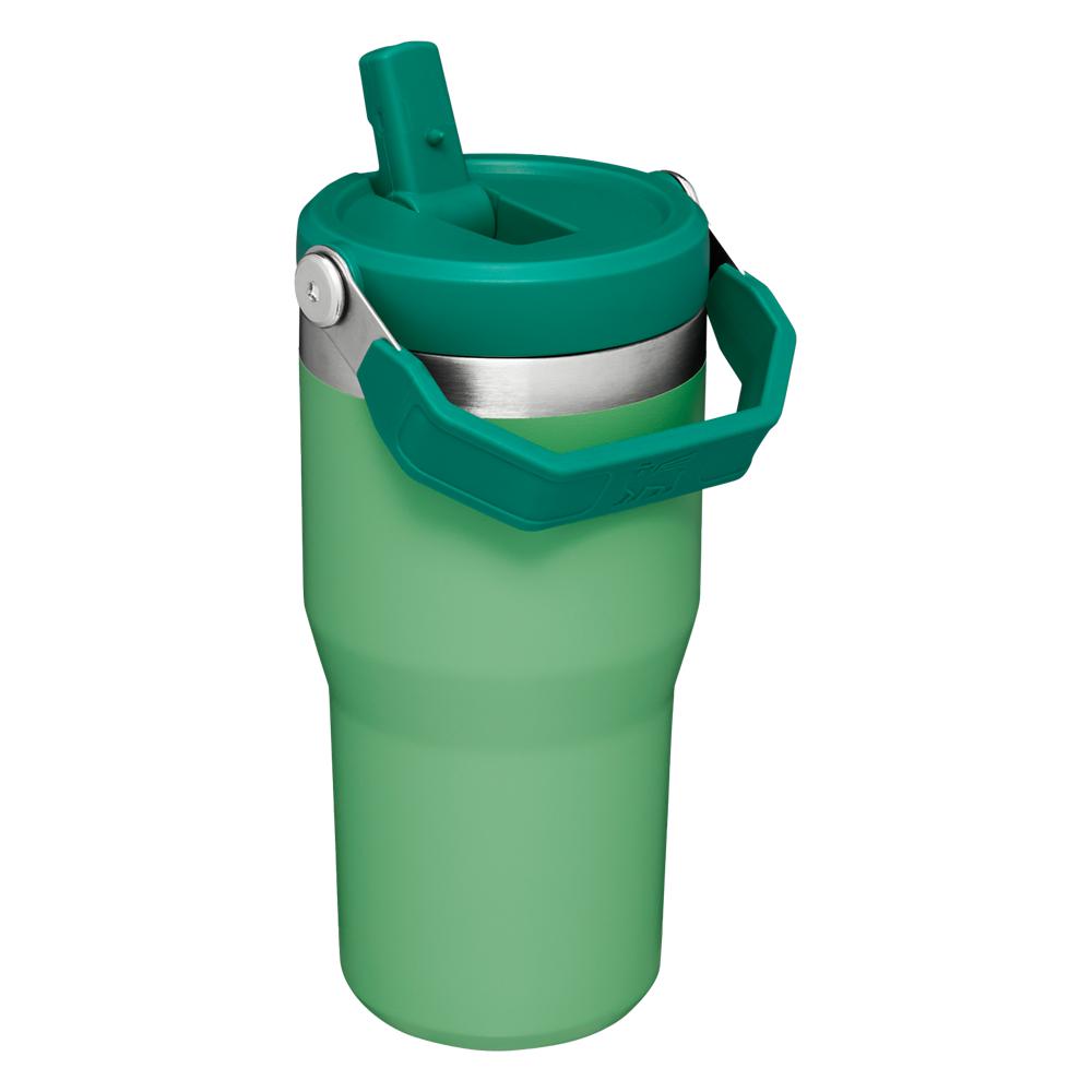 Green Stanley The IceFlow Flip Straw Tumbler | 20 OZ | Insulated Water Tumbler | Sta Water Bottles | 37869-BVOA