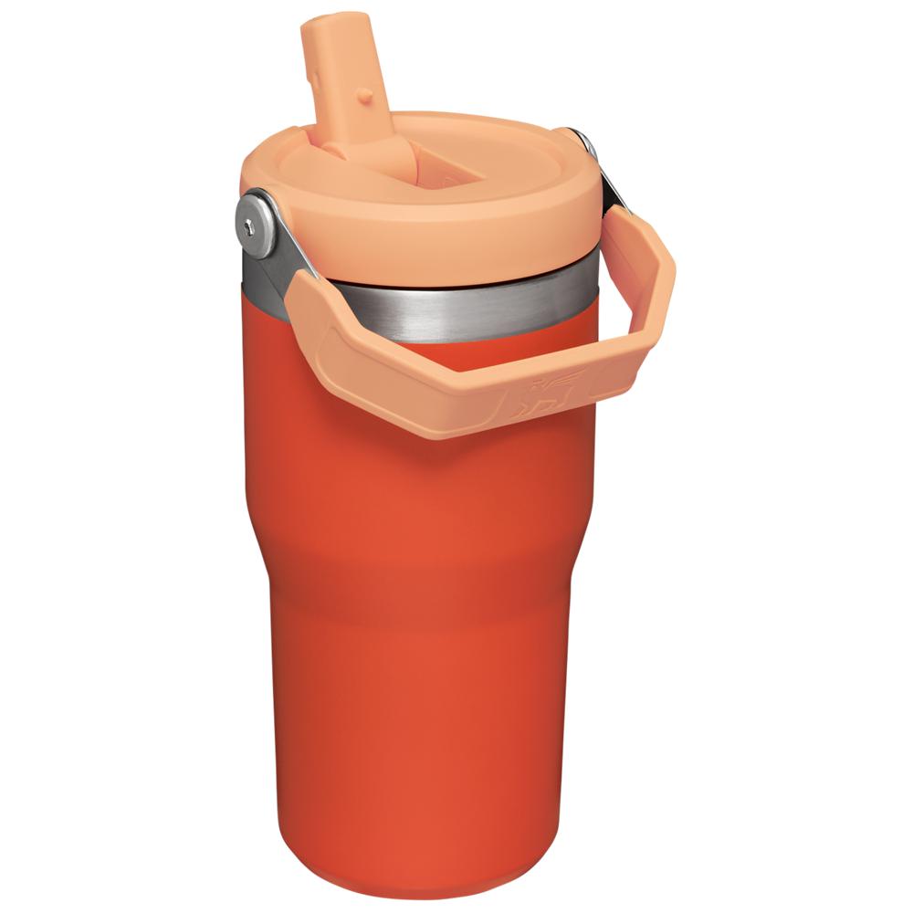 Orange Stanley The IceFlow Flip Straw Tumbler | 20 OZ | Insulated Water Tumbler | Sta Water Bottles | 35719-XCQK