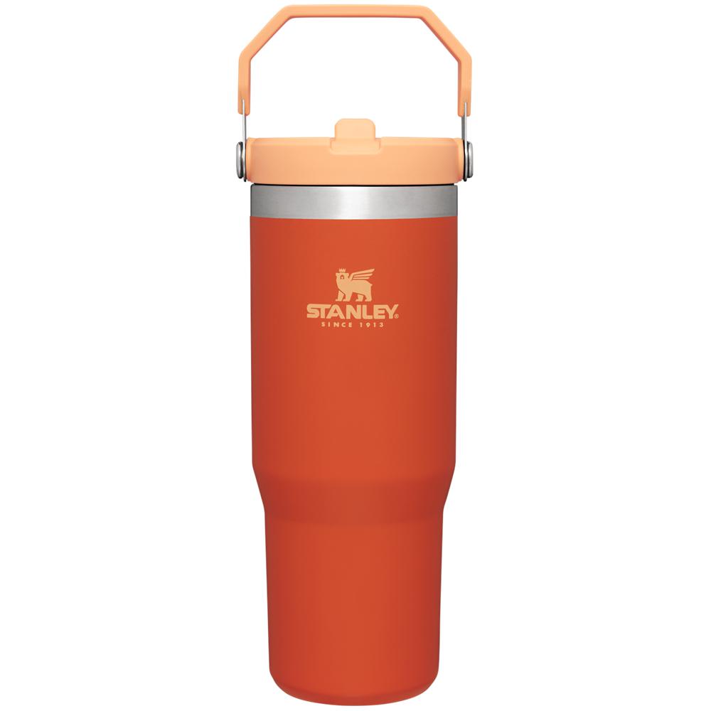 Orange Stanley The IceFlow Flip Straw Tumbler | 30 OZ | Insulated Water Water Bottles | 76249-PAHM