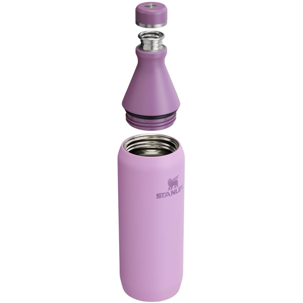 Purple Stanley All Day Slim Bottle | 20 OZ Water Bottles | 83549-MUZJ