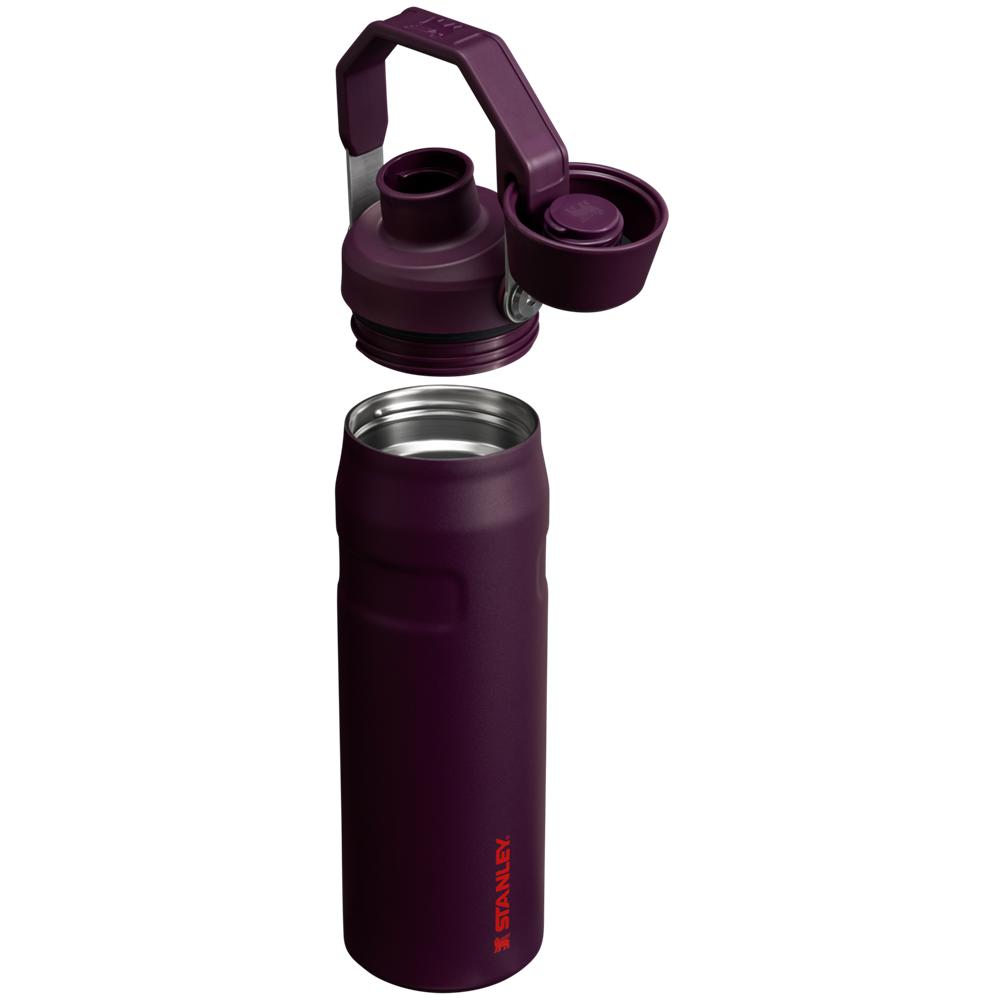 Purple Stanley IceFlow Insulated Bottle with Fast Flow Lid | 24 OZ Water Bottles | 65091-PCDV