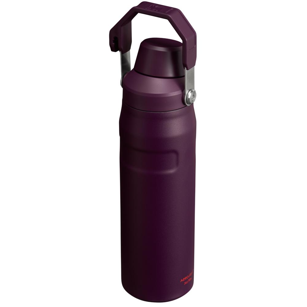 Purple Stanley IceFlow Insulated Bottle with Fast Flow Lid | 24 OZ Water Bottles | 65091-PCDV