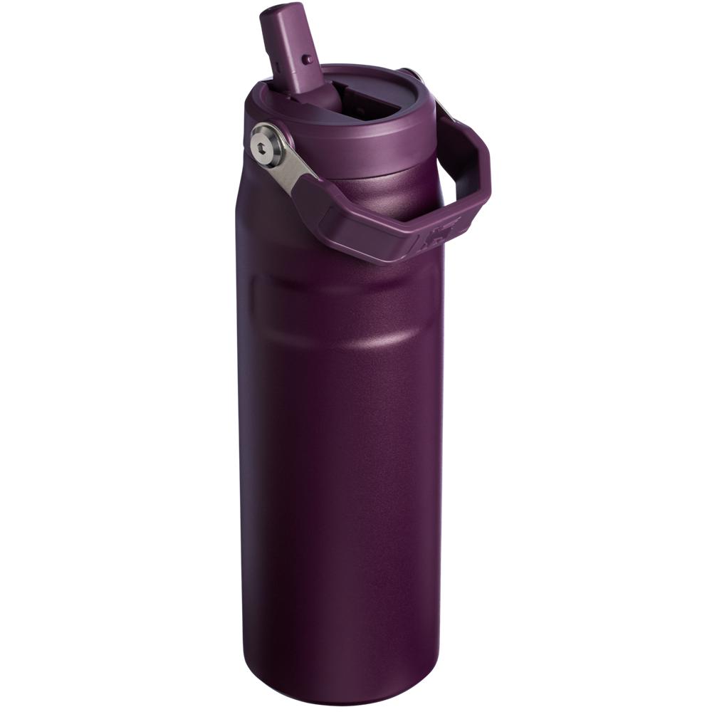 Purple Stanley The IceFlow™ Bottle with Flip Straw Lid | 24 OZ Water Bottles | 19804-DYAX