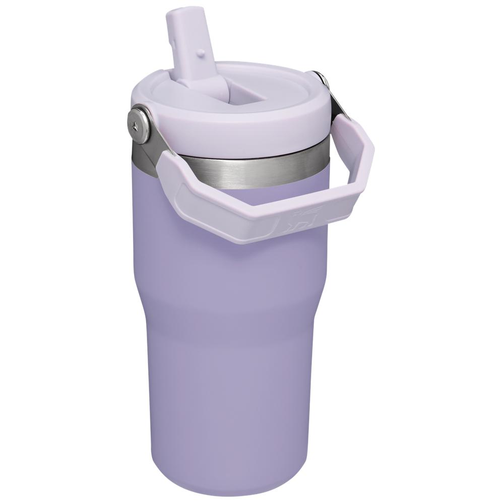 Purple Stanley The IceFlow Flip Straw Tumbler | 20 OZ | Insulated Water Tumbler | Sta Water Bottles | 78540-TIMC