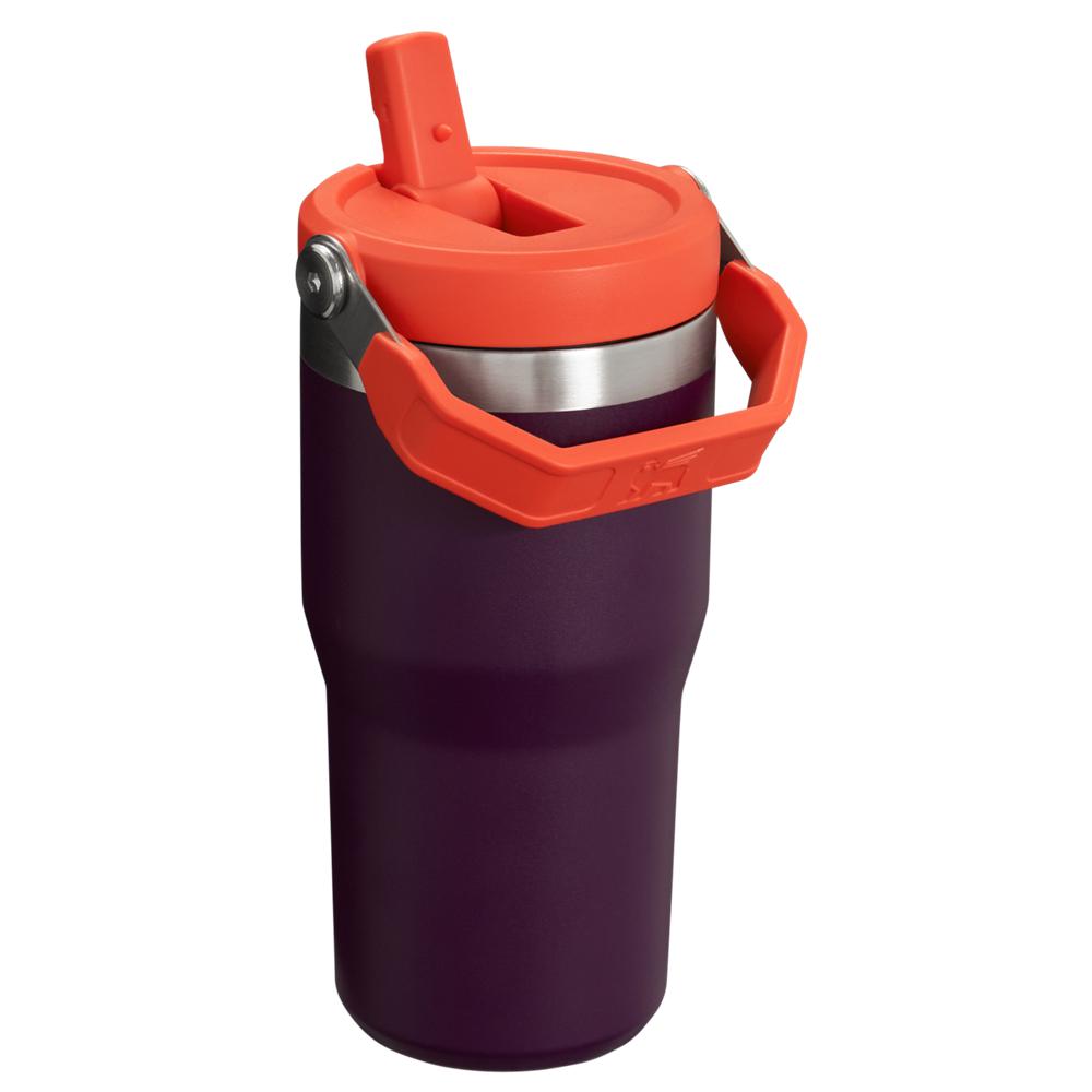 Purple Stanley The IceFlow Flip Straw Tumbler | 20 OZ | Insulated Water Tumbler | Sta Water Bottles | 86015-QNGA