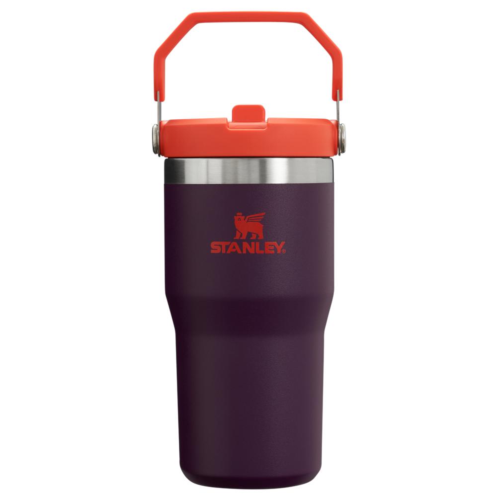 Purple Stanley The IceFlow Flip Straw Tumbler | 20 OZ | Insulated Water Tumbler | Sta Water Bottles | 86015-QNGA