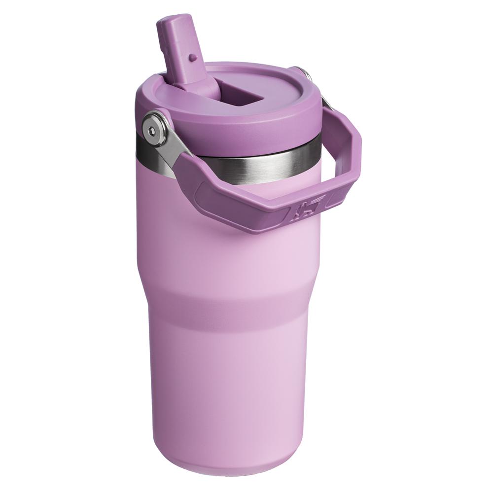 Purple Stanley The IceFlow Flip Straw Tumbler | 20 OZ | Insulated Water Tumbler | Sta Water Bottles | 04985-KBZQ