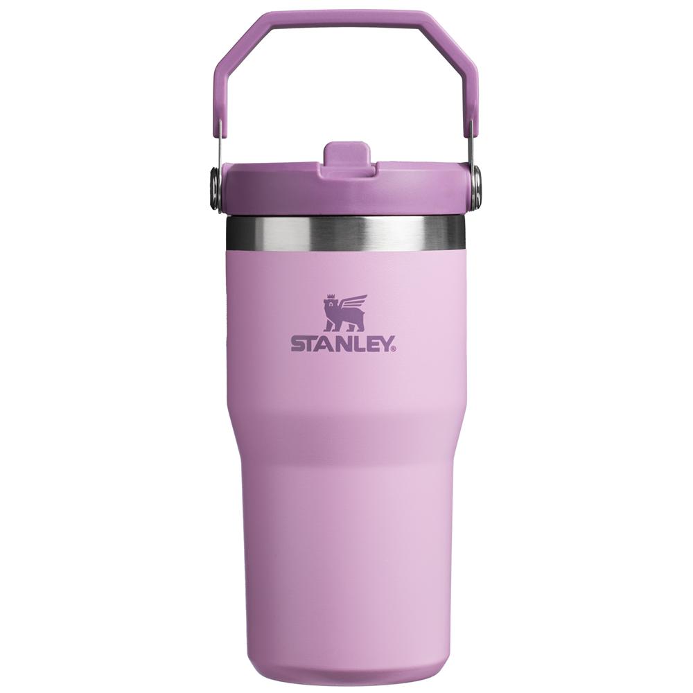 Purple Stanley The IceFlow Flip Straw Tumbler | 20 OZ | Insulated Water Tumbler | Sta Water Bottles | 04985-KBZQ