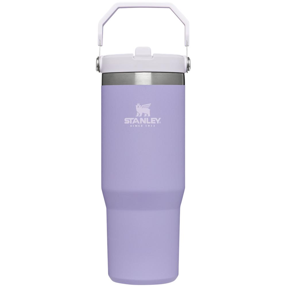 Purple Stanley The IceFlow Flip Straw Tumbler | 30 OZ | Insulated Water Water Bottles | 59732-MCWS