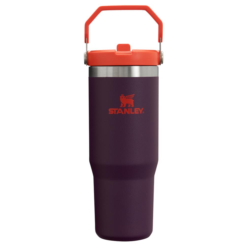 Purple Stanley The IceFlow Flip Straw | 30 OZ | Insulated Water Tumbler | 89761-GWYK