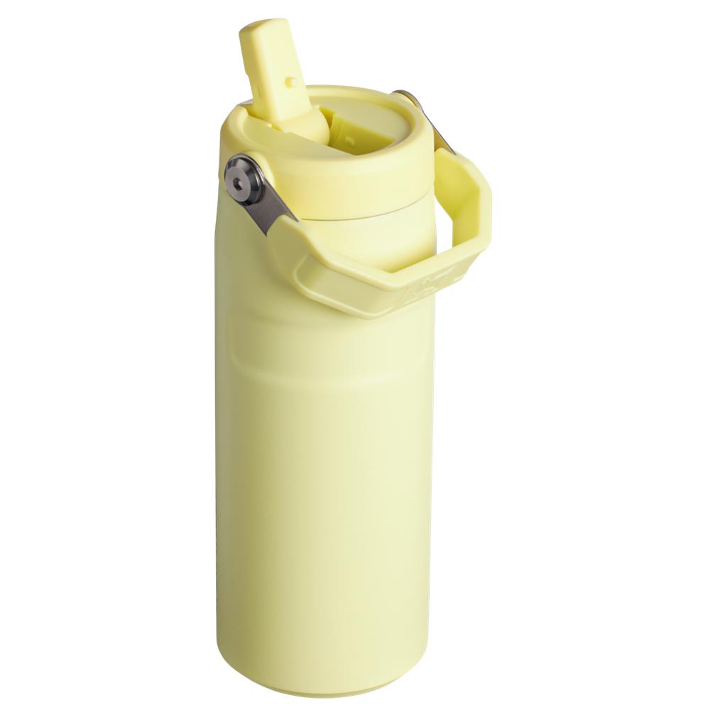 Yellow Stanley The IceFlow™ Bottle with Flip Straw Lid | 16 OZ Water Bottles | 62743-BORZ