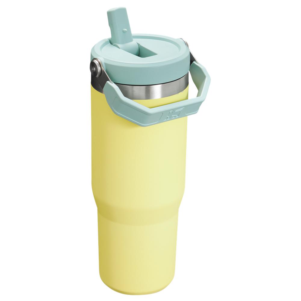 Yellow Stanley The IceFlow Flip Straw Tumbler | 30 OZ | Insulated Water Water Bottles | 95612-ORWX